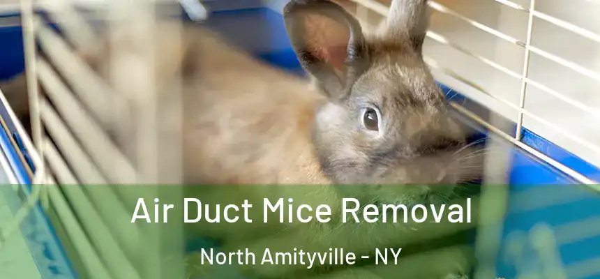 Air Duct Mice Removal North Amityville - NY