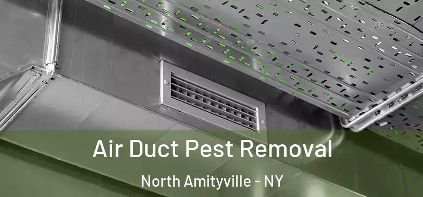 Air Duct Pest Removal North Amityville - NY