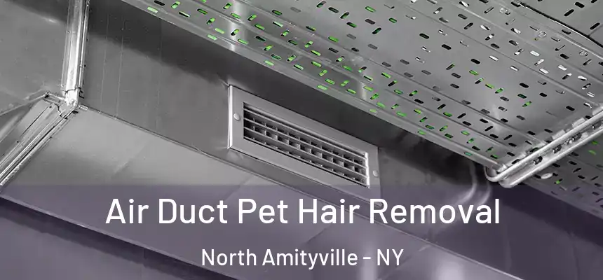  Air Duct Pet Hair Removal North Amityville - NY