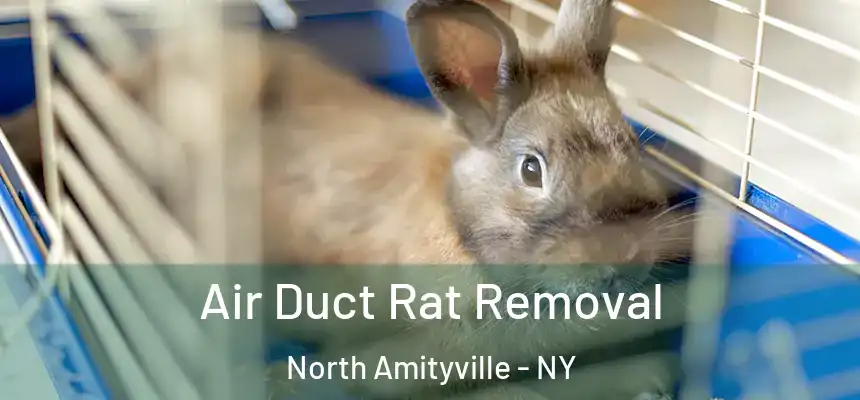  Air Duct Rat Removal North Amityville - NY