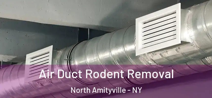 Air Duct Rodent Removal North Amityville - NY