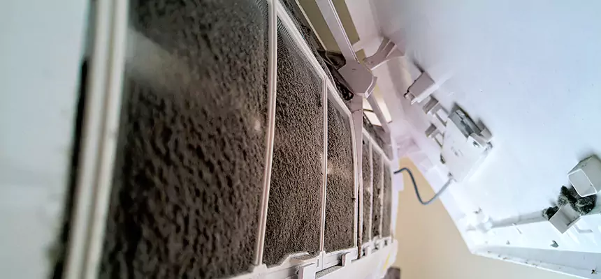 Preventive Air Duct Bacteria Removal in North Amityville