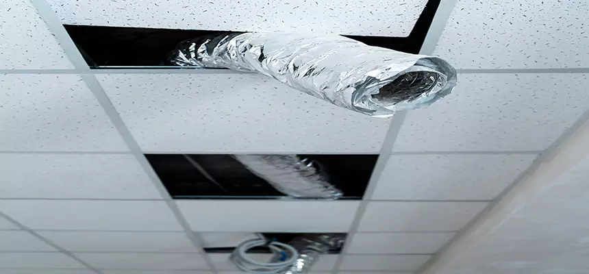 Our Air Duct Pet Hair Removal Services in North Amityville, NY