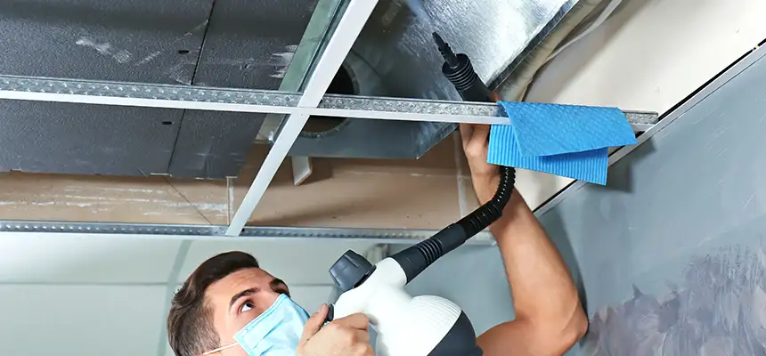 Our Air Duct Rodent Removal Services in North Amityville, NY