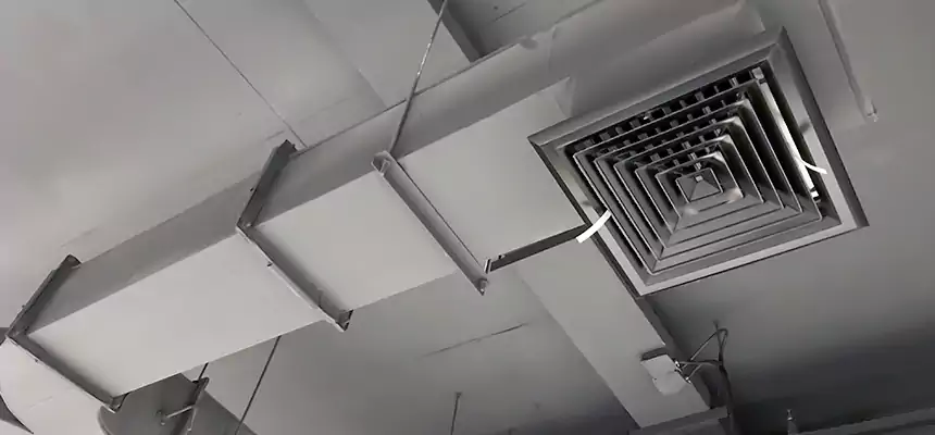 Restorative Allergy Relief Vent Cleaning – Coil, Blower & Housing Detail in North Amityville