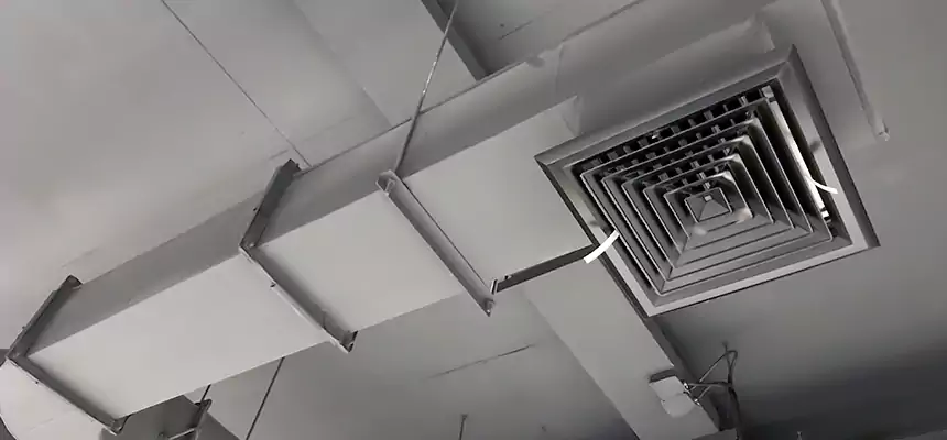 Our Pest Removal From Ducts Services in North Amityville, NY