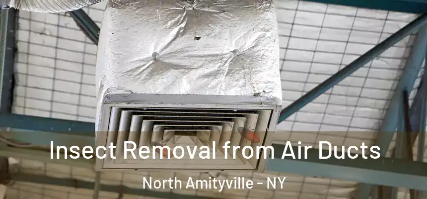 Insect Removal from Air Ducts North Amityville - NY