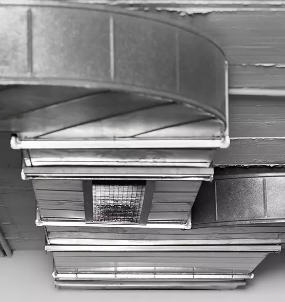 Professional Air Duct Pet Hair Removal in North Amityville, NY