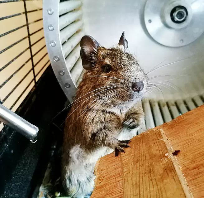 Why Homeowners & Businesses Trust Us North Amityville, NY